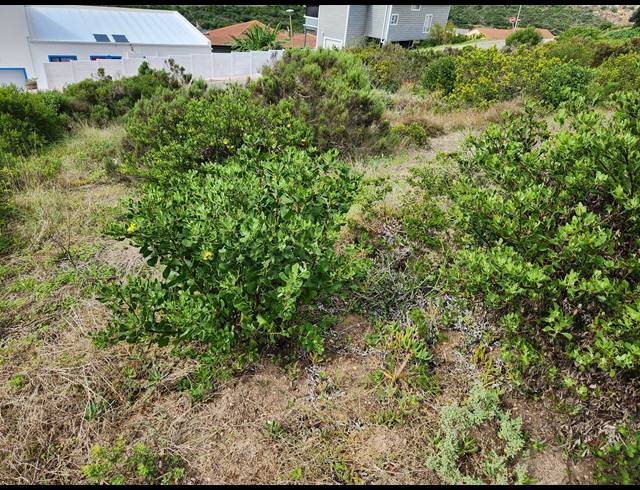 973M² VACANT LAND FOR SALE IN ISLAND VIEW